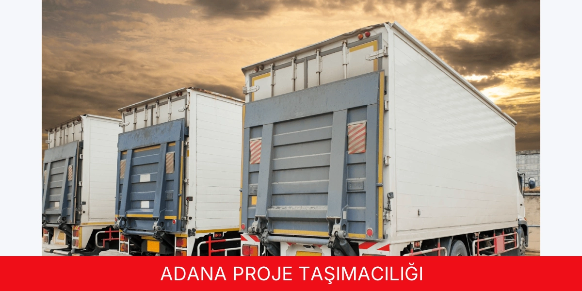 Proje Taşımacılığı